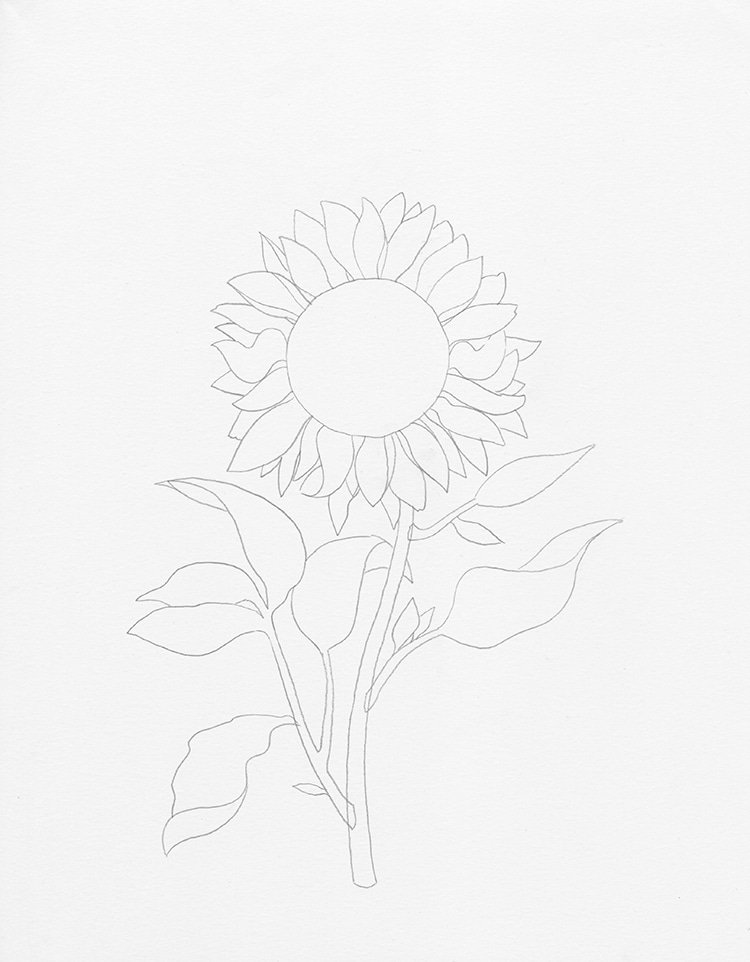 How to draw a sunflower ?