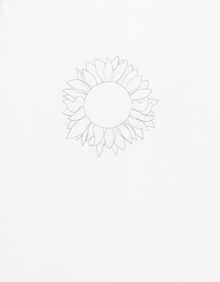 How to draw a sunflower ?