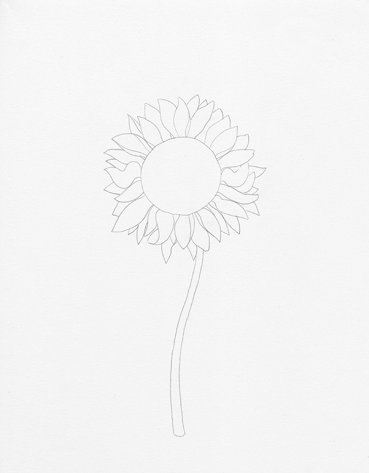 How to draw a sunflower ?