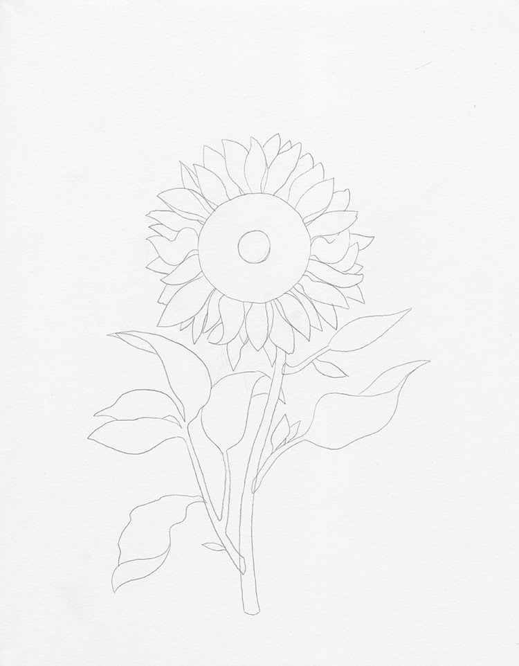 How to draw a sunflower ?